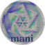 mani logo